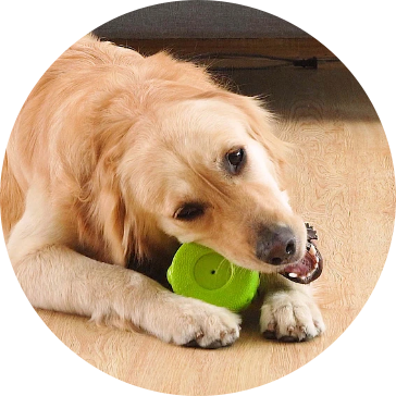 EVA ペットの犬のおもちゃ