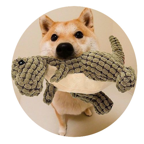 ペットの犬のぬいぐるみのおもちゃ